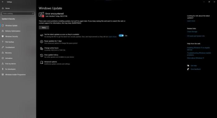 Windows 11 KB5041585 issues