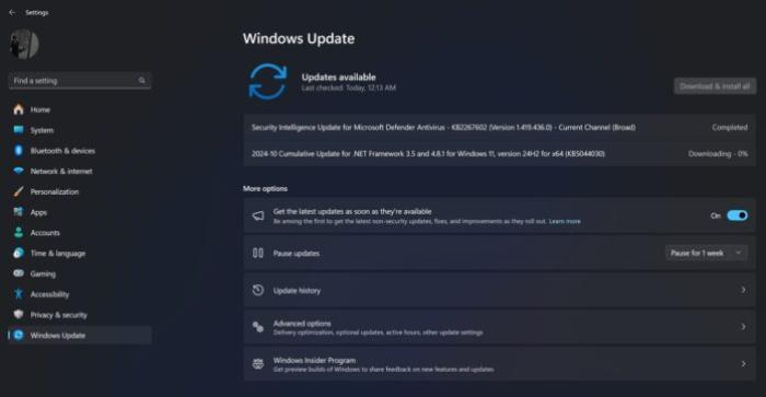 Windows 11 KB5044284 issues