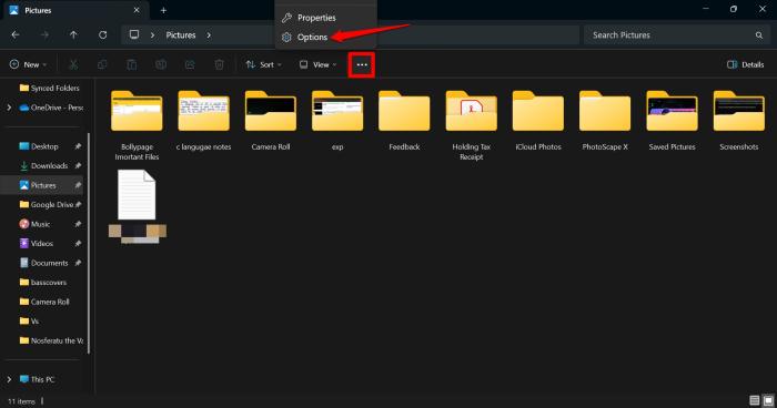 file explorer options