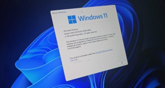 Windows 11 24H2 Remote Desktop Platform RDP issues Windows 11 24H2 Remote Desktop Platform RDP issues