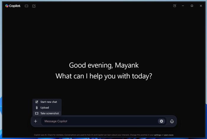 Copilot take screenshot
