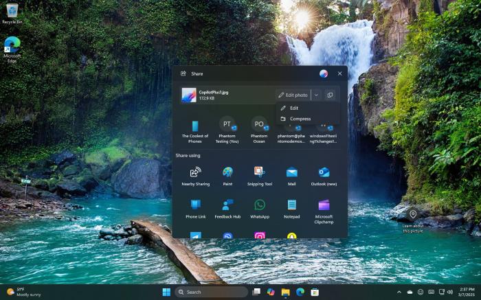 Share screen main pane